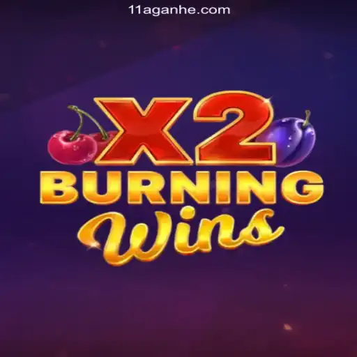Exploring the Excitement of BurningWinsX2 and its Role in Online Gaming